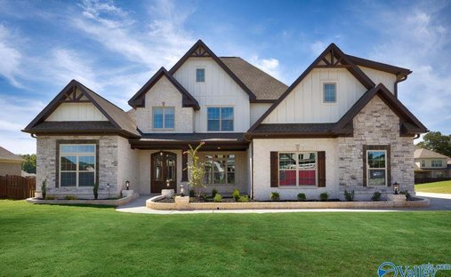House in Toney, Alabama, United States 1