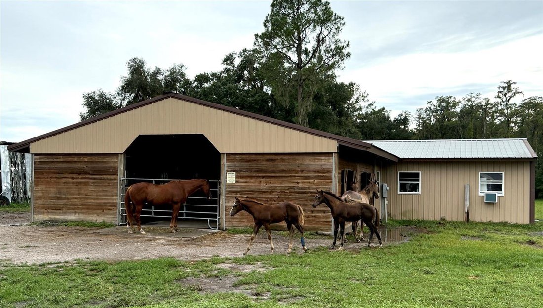 Maison à Webster, Floride, États-Unis 5 - 18842228