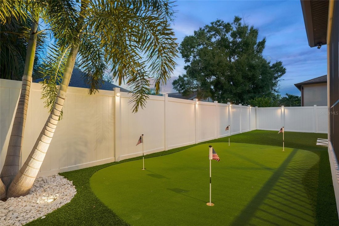 House in Tampa, Florida, United States 3 - 18846143