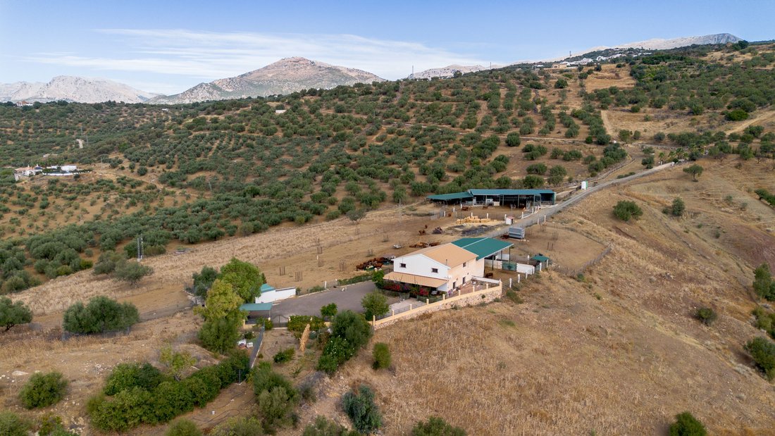Terrain à Periana, Andalousie, Espagne 3 - 18851798