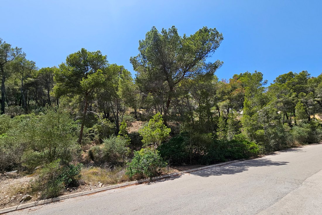 Land in Port d'Andratx, Andratx, Balearische Inseln 5 - 18846809