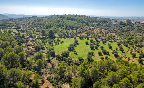 Terreno a Bunyola, Isole Baleari, Spagna 1