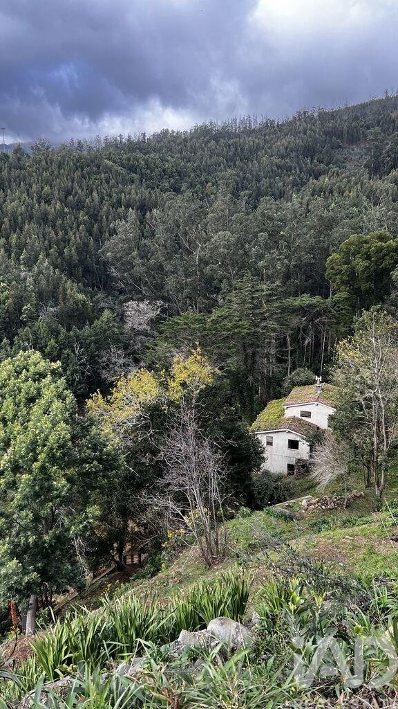 Rancho en São Gonçalo, Madeira, Portugal 5 - 18850878