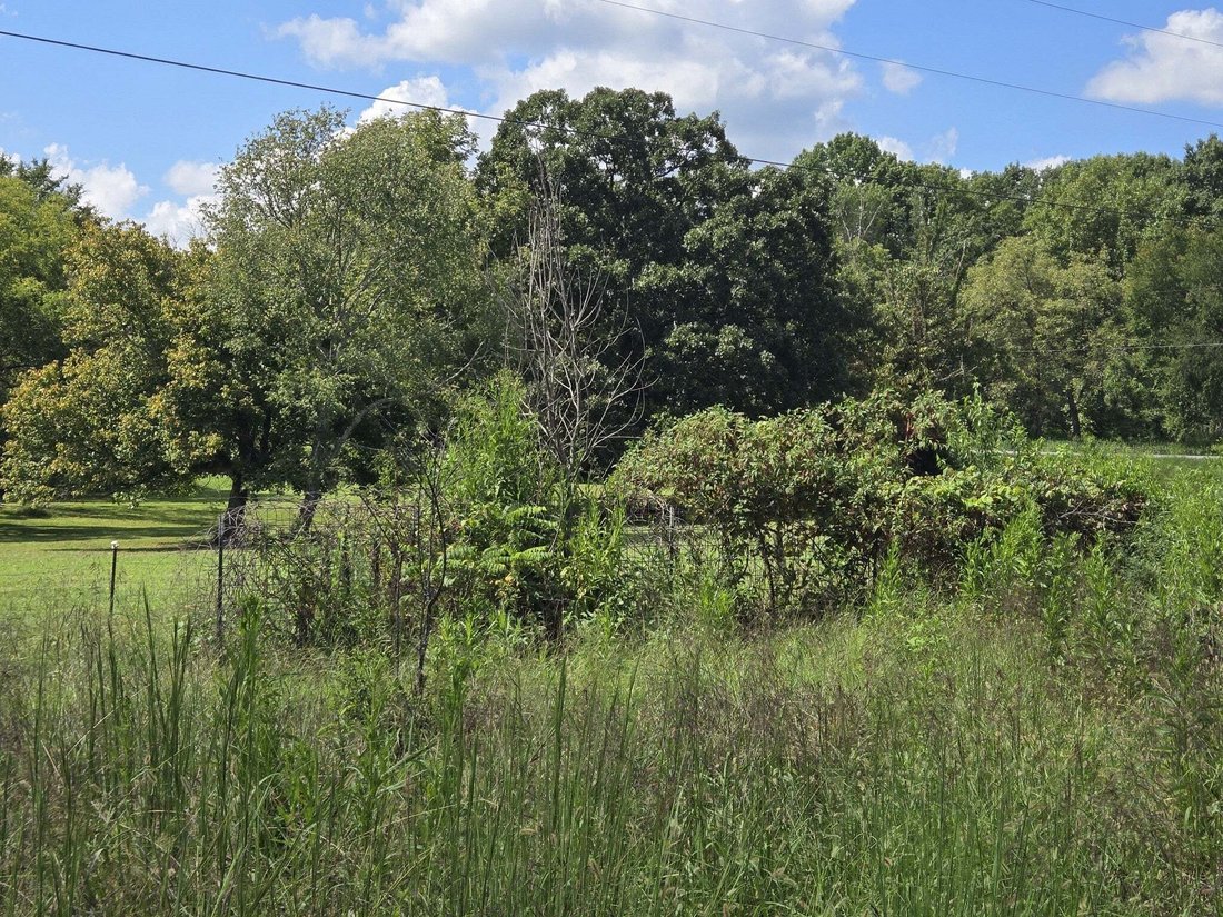 Casa a Eagleville, Tennessee, Stati Uniti 4 - 18851345