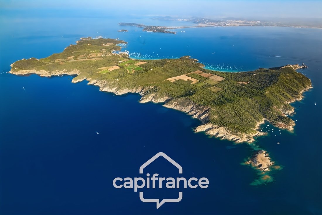 Apartment in Île de Porquerolles, Provence-Alpes-Côte d'Azur, France 3 - 17671212