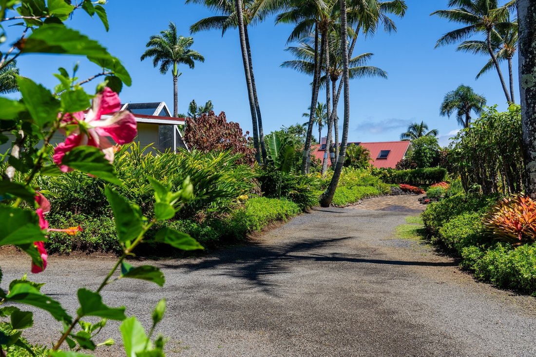 Wohnung in Haiku-Pauwela, Hawaii, Vereinigte Staaten 5 - 18849977