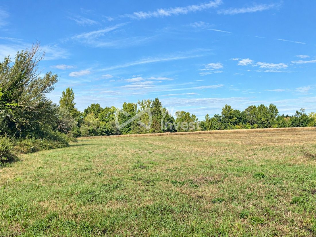 Terrain à Pomponne, Montauban, France 1 - 18849146