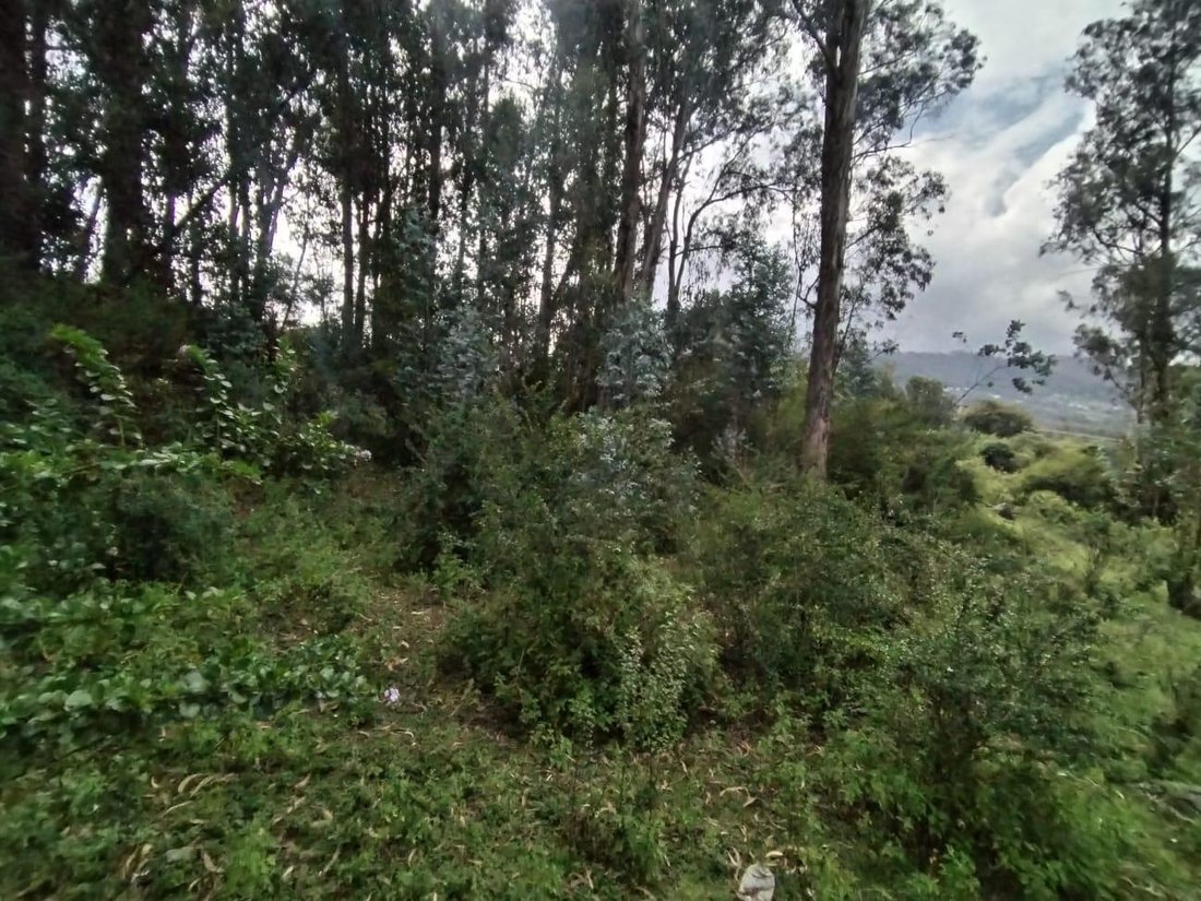 Land in Quito, Pichincha, Ecuador 3 - 18844184