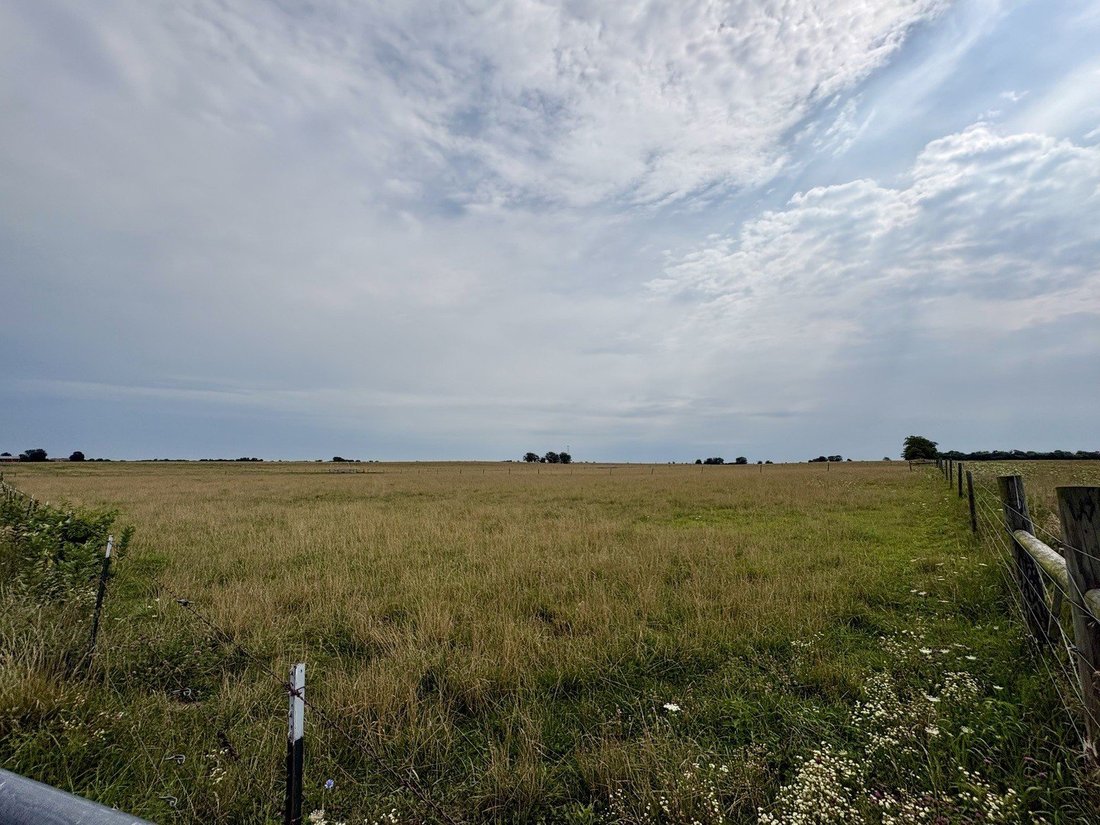 Farm Ranch in Aroma Park, Illinois, United States 3 - 18854076