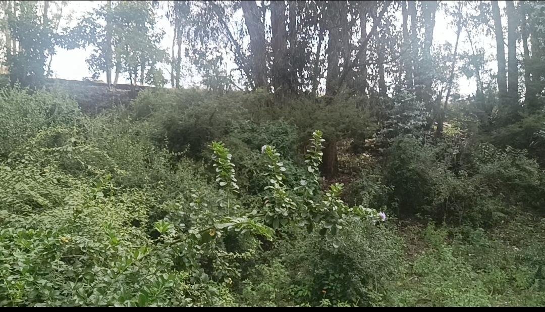Land in Quito, Pichincha, Ecuador 5 - 18844184