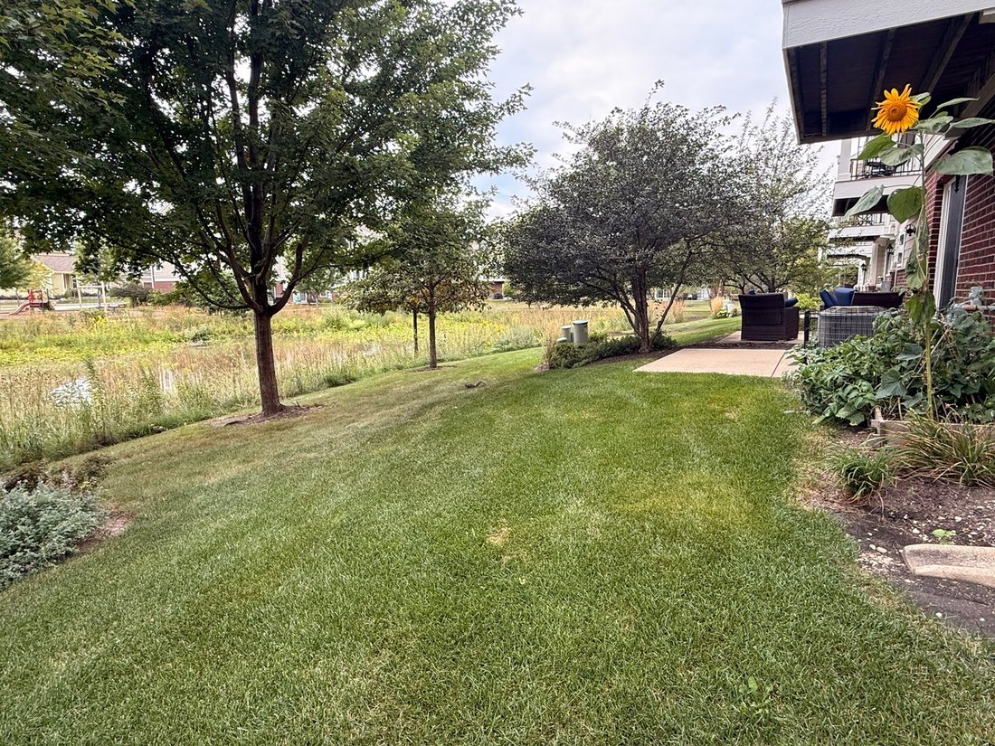 Villa in Schaumburg, Illinois, United States 5 - 18850396