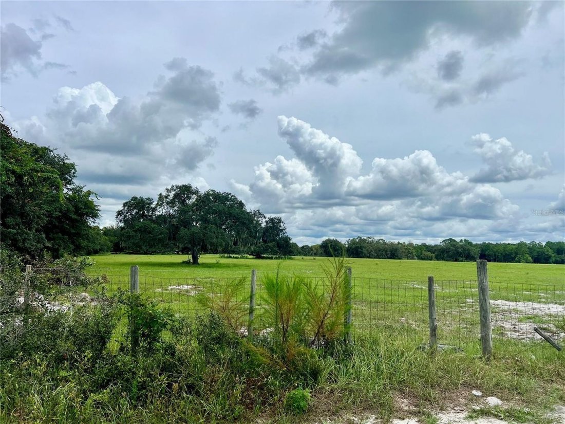 Land in Mulberry, Florida, United States 2 - 18857296