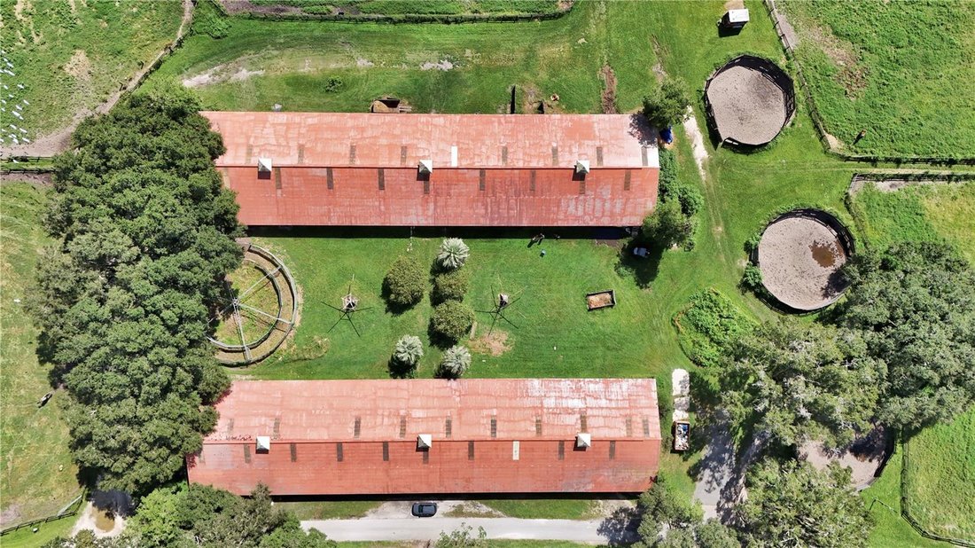 Farm Ranch in Reddick, Florida, Vereinigte Staaten 3 - 18846218