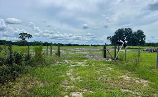 Land in Mulberry, Florida, United States 1