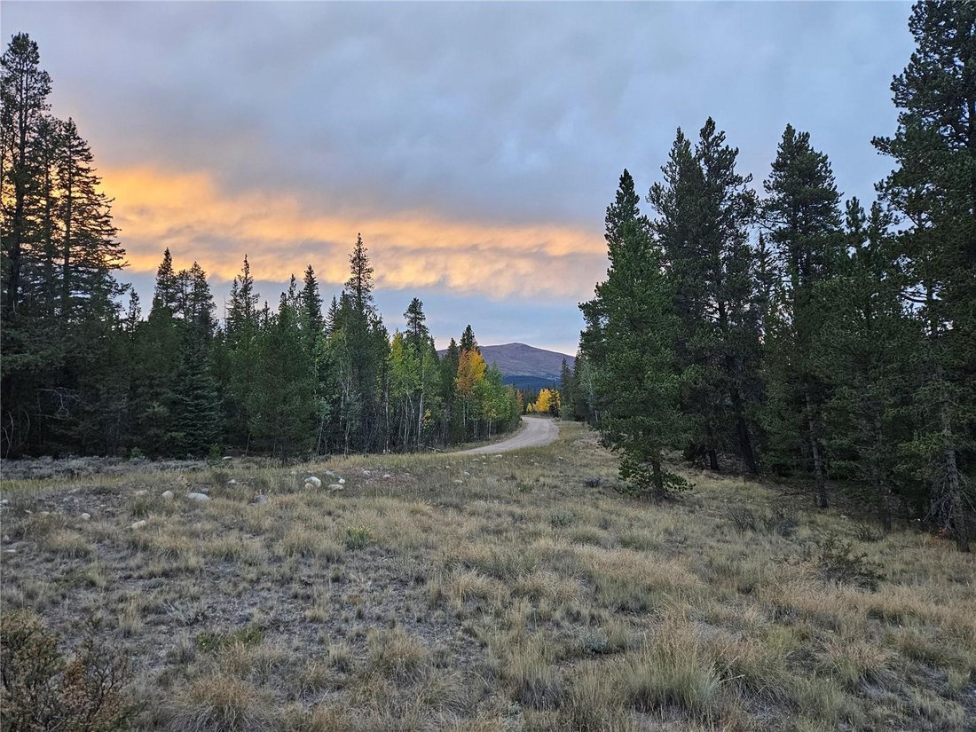 Land in Alma, Colorado, United States 4 - 18839715