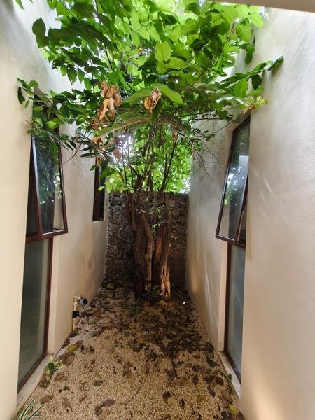 House in Mérida, Yucatan, Mexico 3 - 18852119