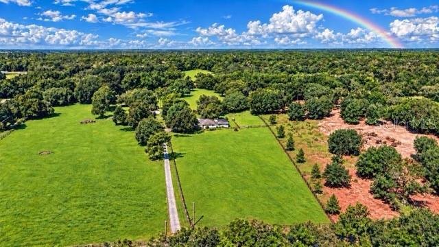 Farm Ranch in Ocala, Florida, Vereinigte Staaten 1 - 18852808