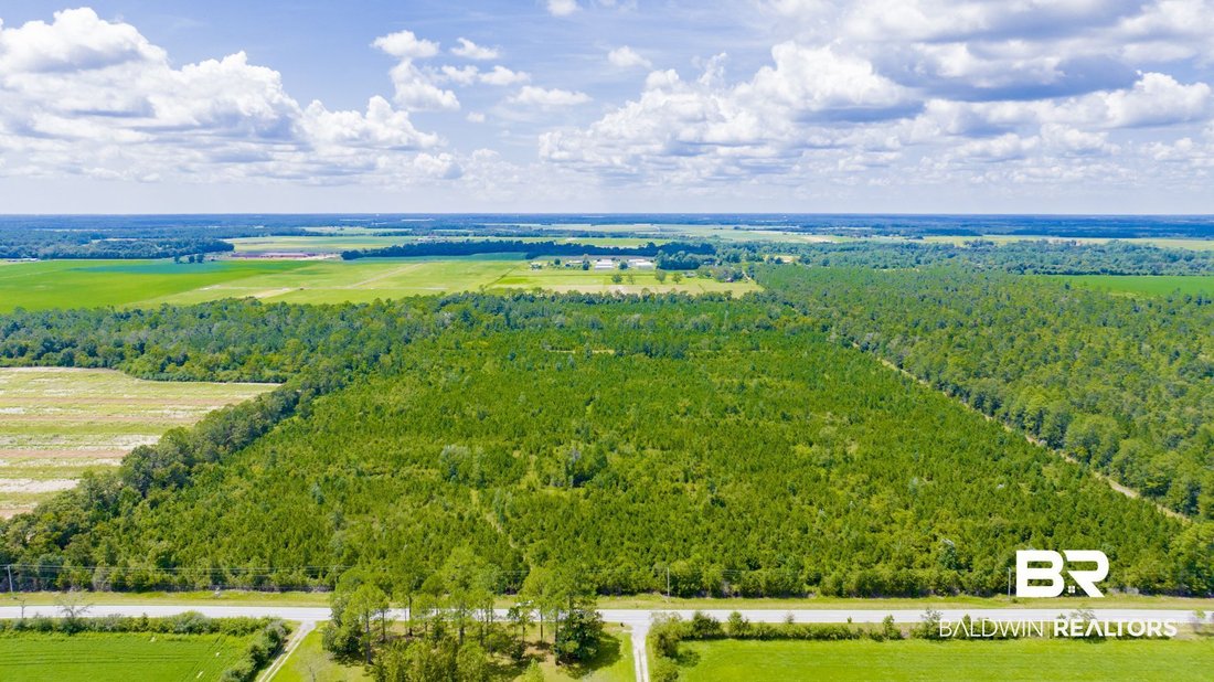 Terreno en Elberta, Alabama, Estados Unidos 4 - 18848777