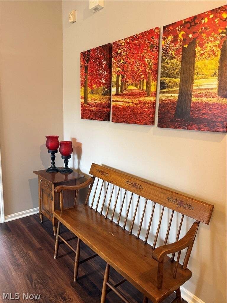 Condo in North Royalton, Ohio, United States 5 - 18842446