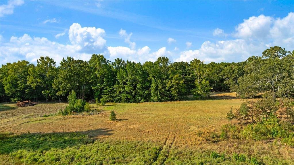 Azienda agricola a Blossom, Texas, Stati Uniti 3 - 18842718