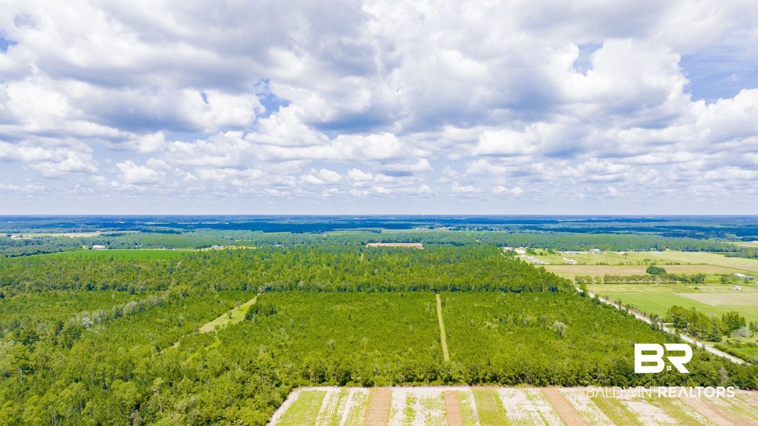Terreno en Elberta, Alabama, Estados Unidos 5 - 18848777