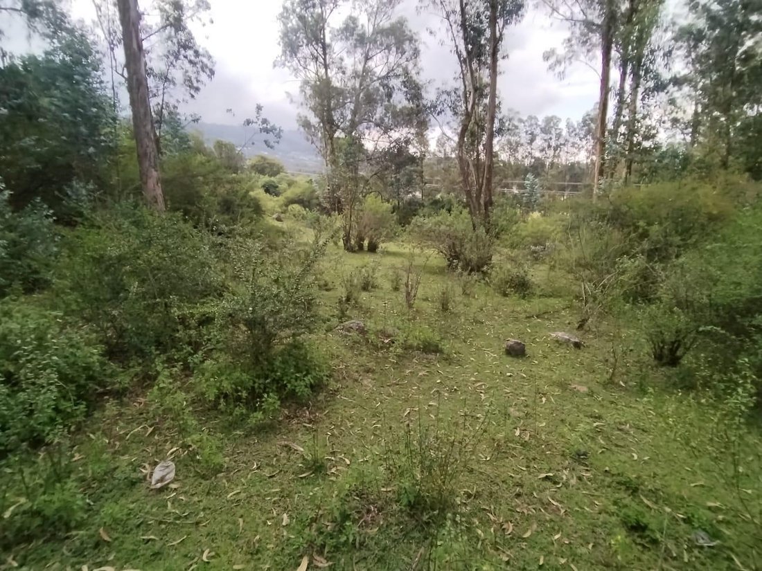 Land in Quito, Pichincha, Ecuador 2 - 18844184