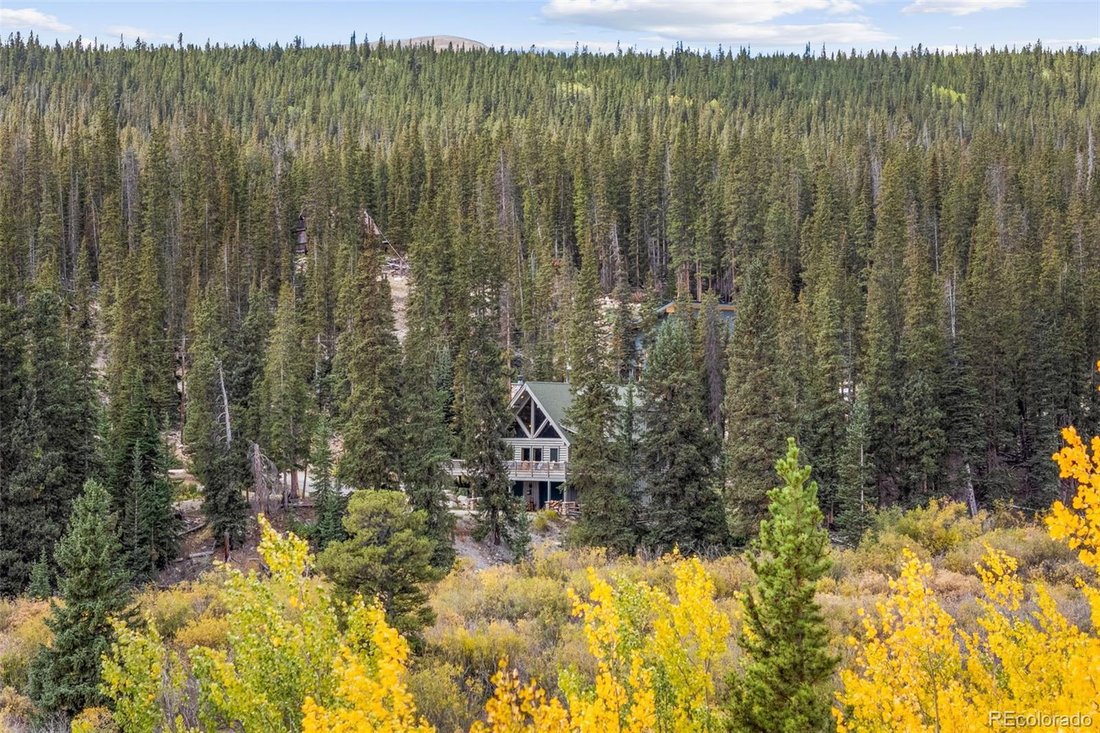 House in Fairplay, Colorado, United States 4 - 18851319
