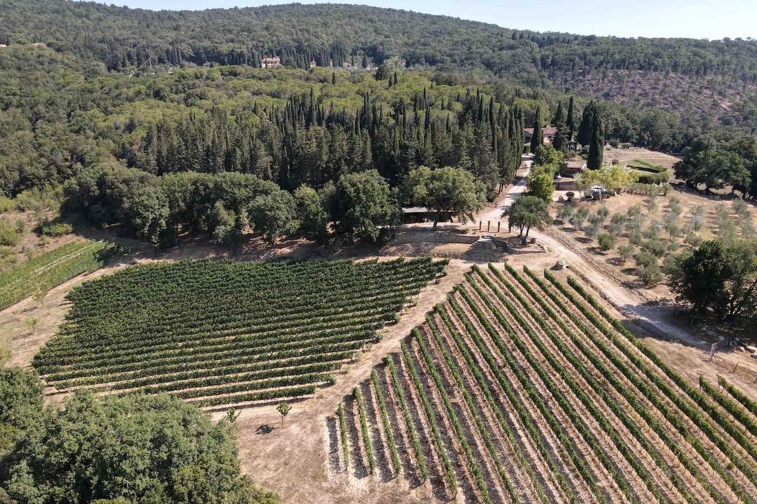 Domaine à Sassetta, Toscane, Italie 5 - 18241815