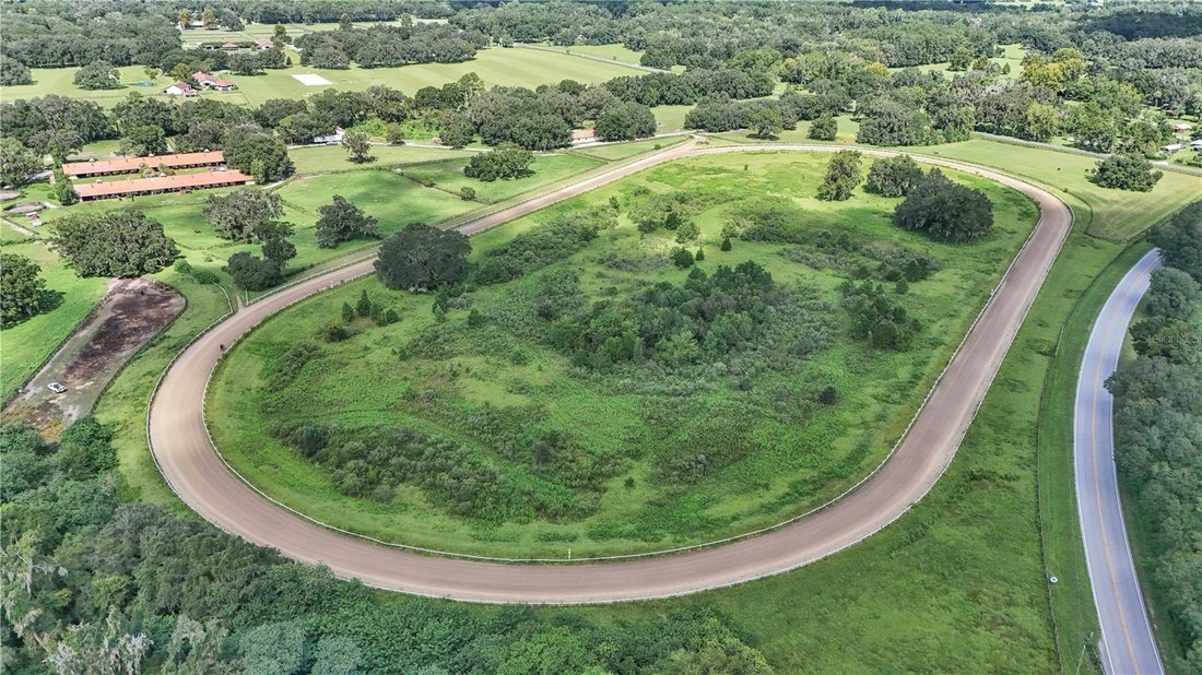 Farm Ranch in Reddick, Florida, Vereinigte Staaten 1 - 18846218