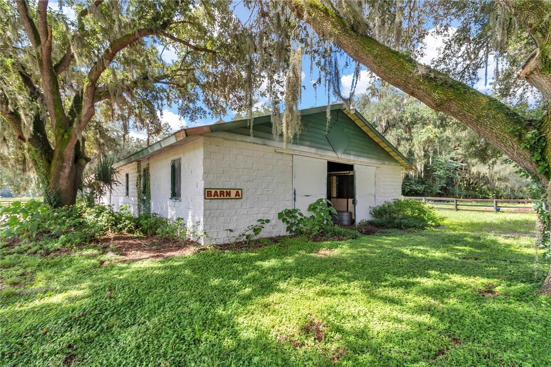 Farm Ranch in Reddick, Florida, Vereinigte Staaten 4 - 18846218