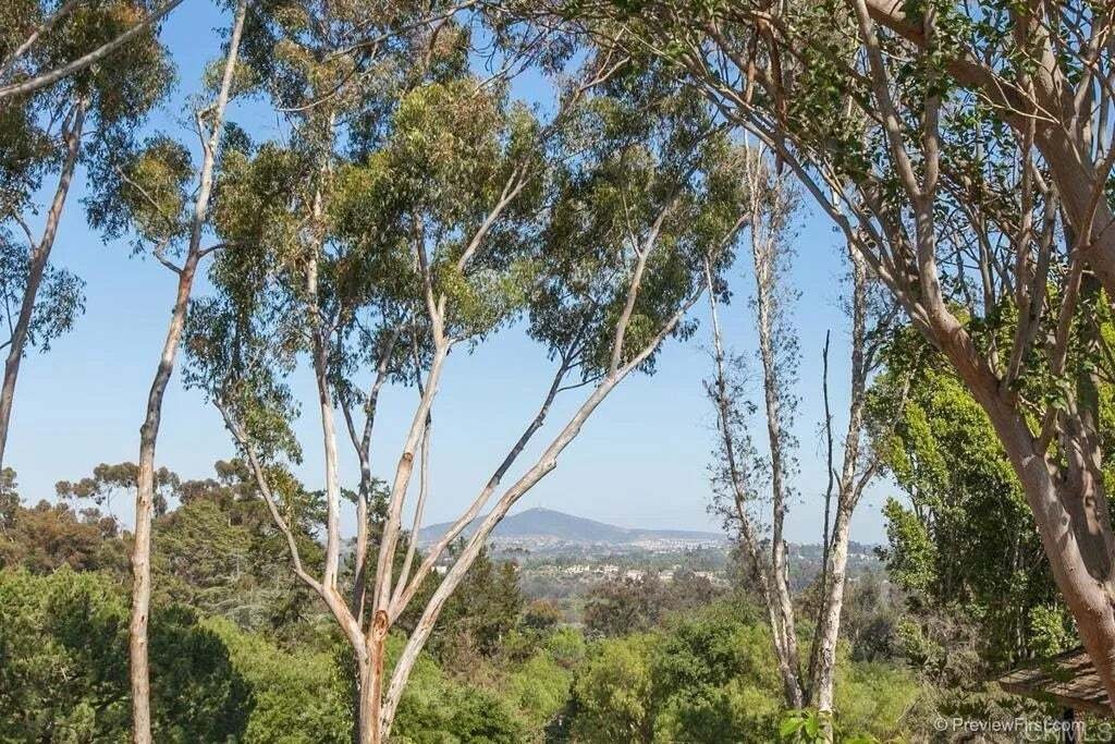 Casa a Rancho Santa Fe, California, Stati Uniti 2 - 18849553