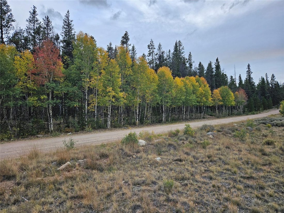 Land in Alma, Colorado, United States 3 - 18839715