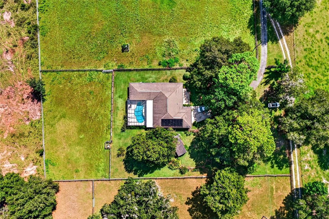 Farm Ranch in Ocala, Florida, Vereinigte Staaten 2 - 18852808