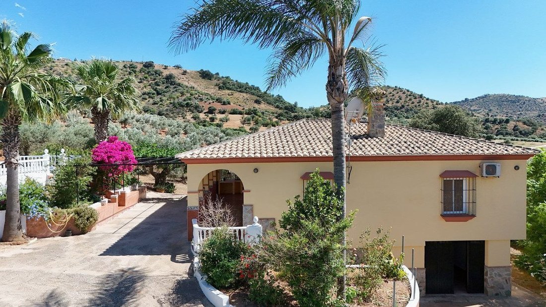 Villa in Centro, Malaga, Spain 3 - 18857555