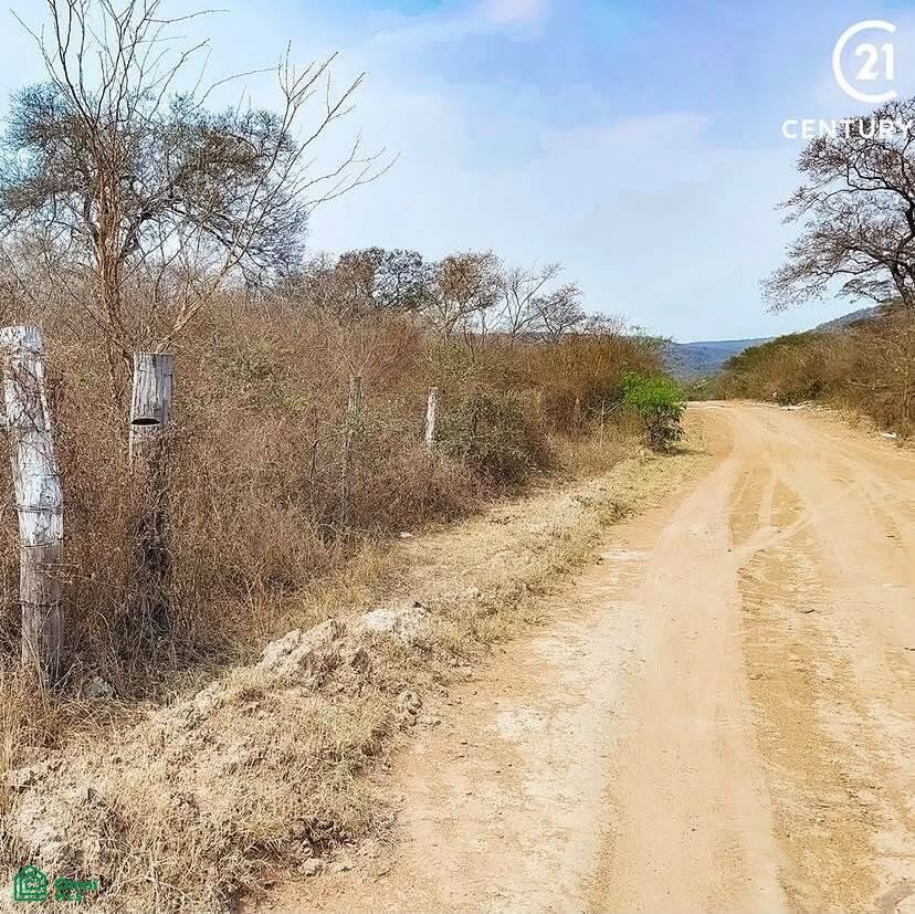 Land in San José de Chiquitos, Santa Cruz Department, Bolivia 5 - 18845970