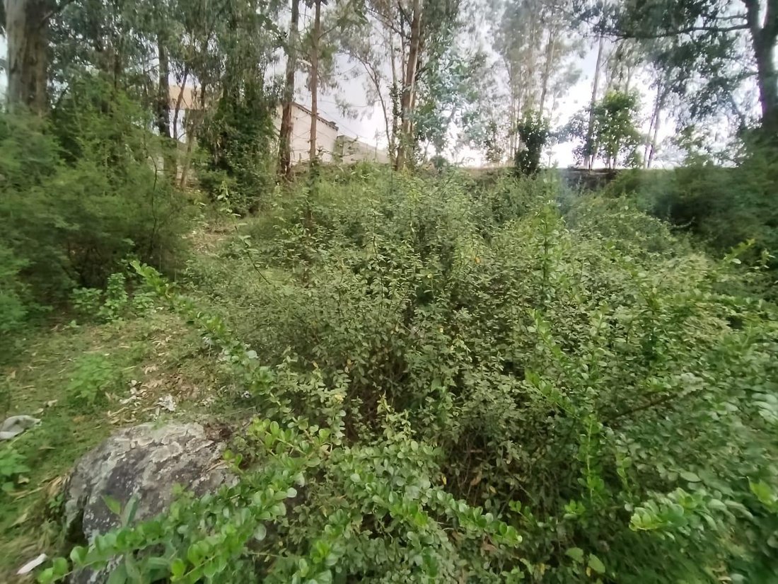 Land in Quito, Pichincha, Ecuador 4 - 18844184
