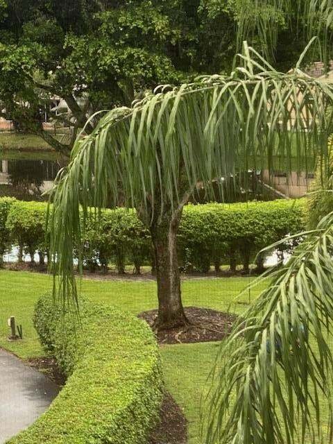 Appartement à Boca Raton, Floride, États-Unis 3 - 18846557