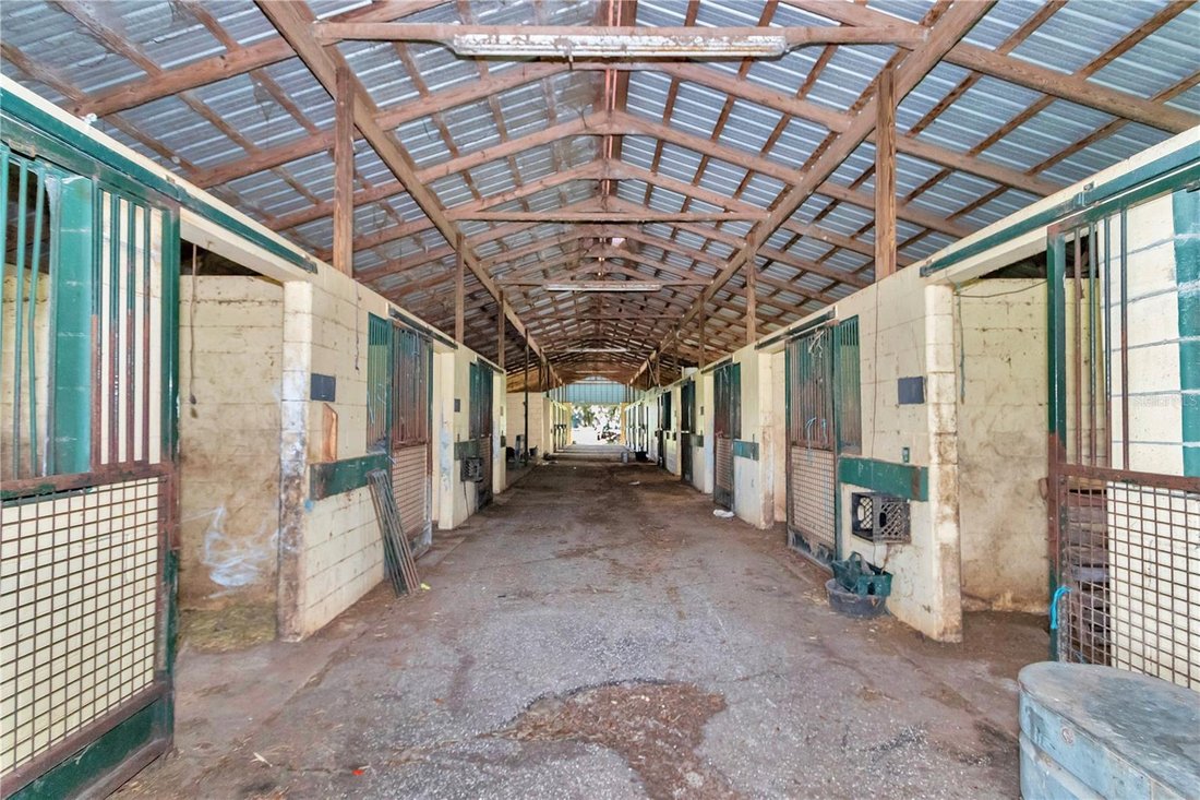 Farm Ranch in Reddick, Florida, Vereinigte Staaten 5 - 18846218