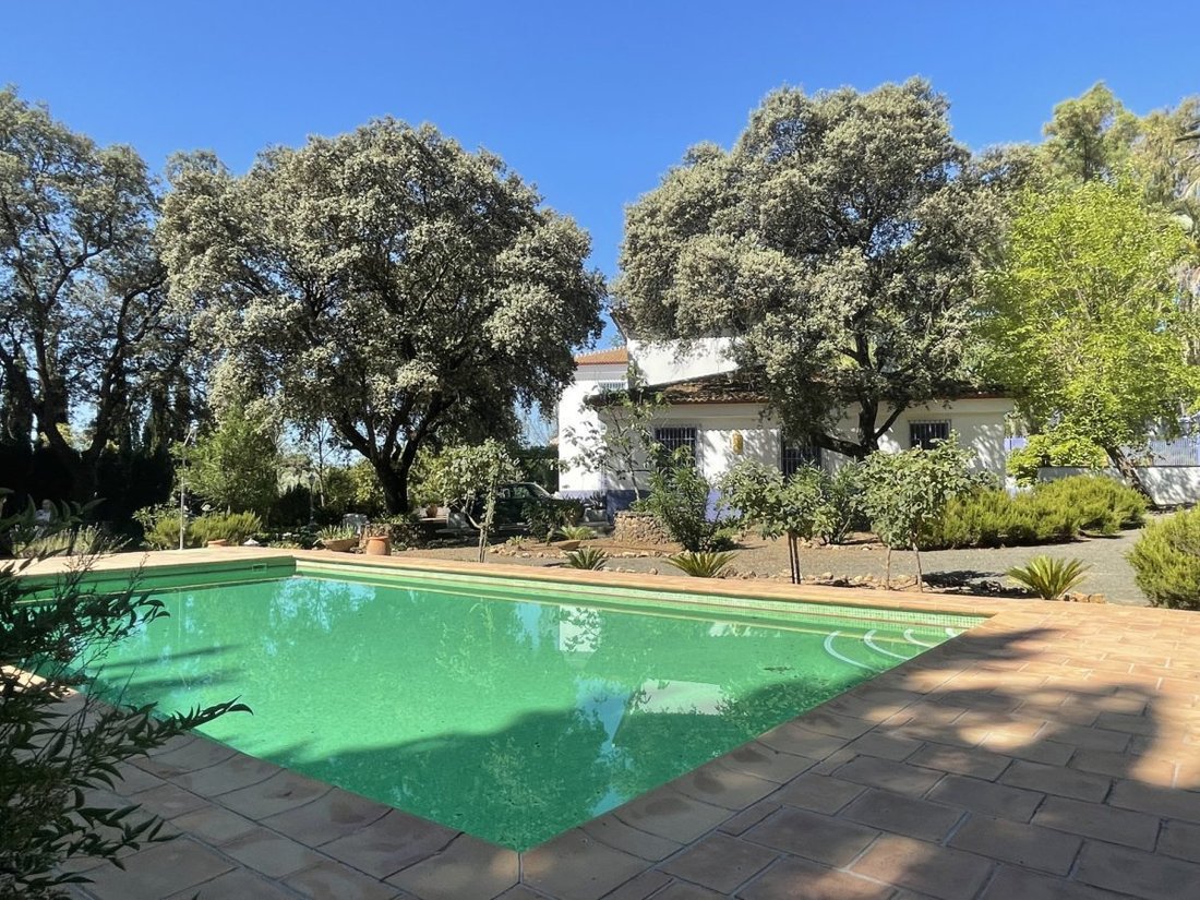 Haus in Archidona, Andalusien, Spanien 1 - 18862420