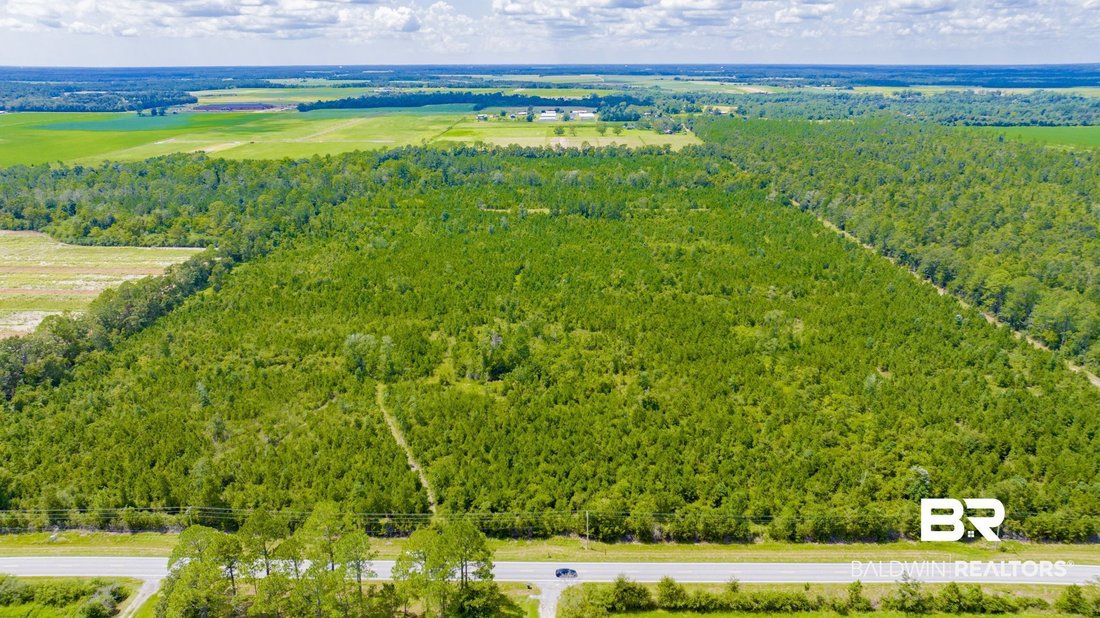 Terreno en Elberta, Alabama, Estados Unidos 3 - 18848777