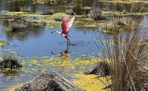 Casa en Sanibel, Florida, Estados Unidos 1