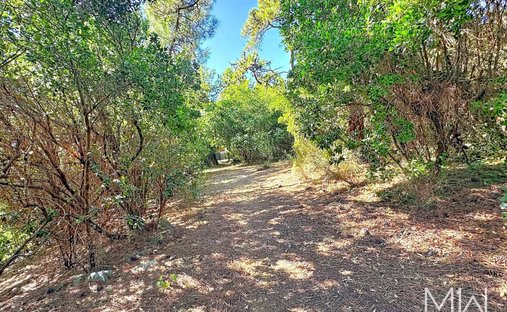 Terreno en 33970 Le Cap-Ferret, Lège-Cap-Ferret, Nueva Aquitania 1