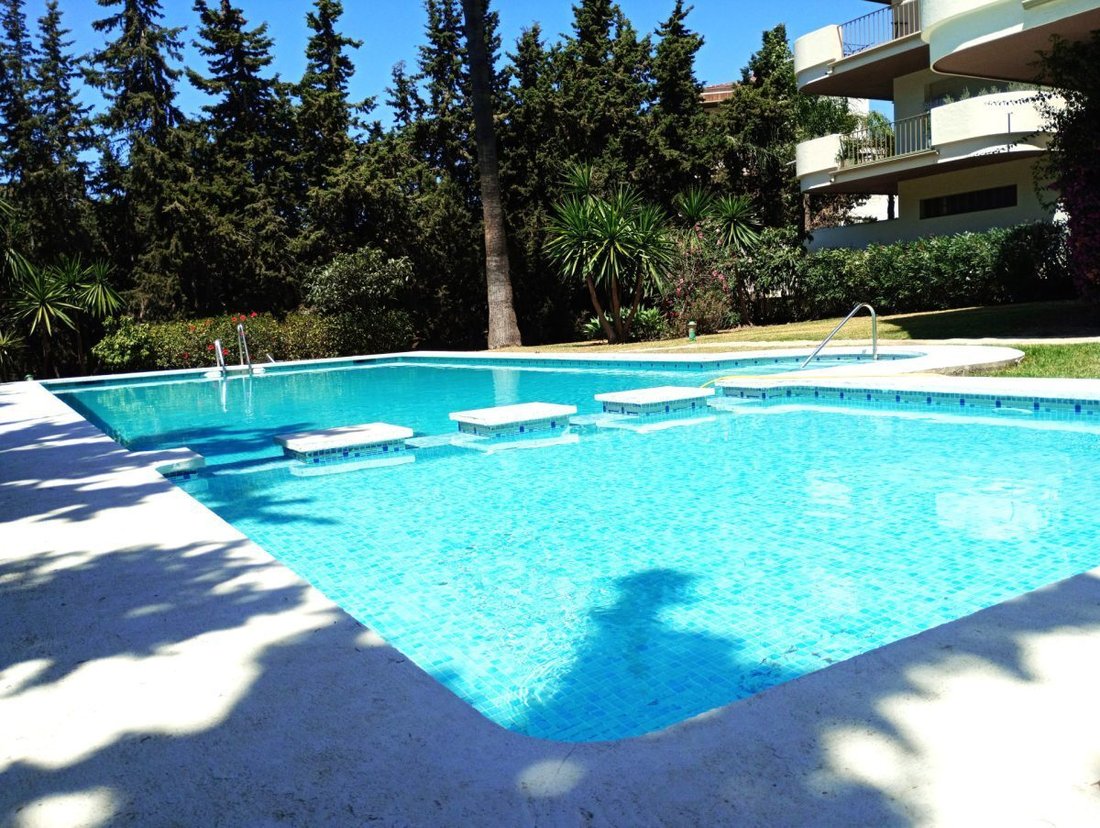 Apartment in Nueva Andalucia, Marbella, Spain 2 - 18857204