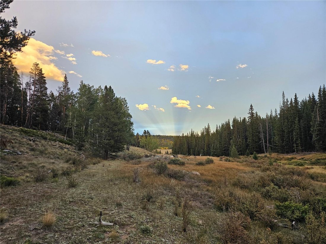 Land in Alma, Colorado, United States 5 - 18839715
