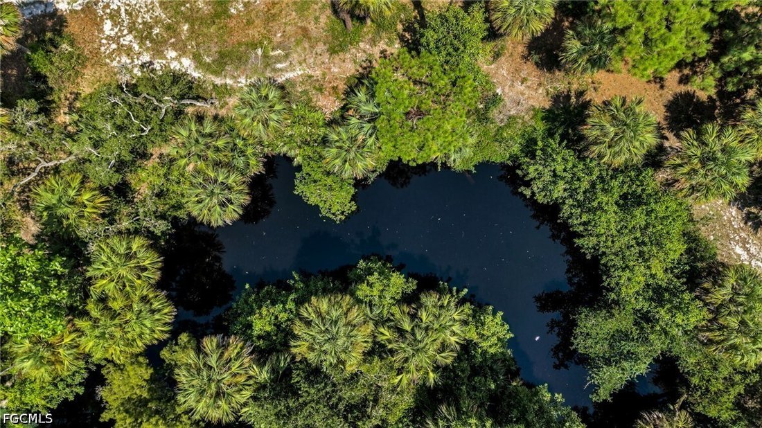 Terrain à Bonita Springs, Floride, États-Unis 3 - 18851587