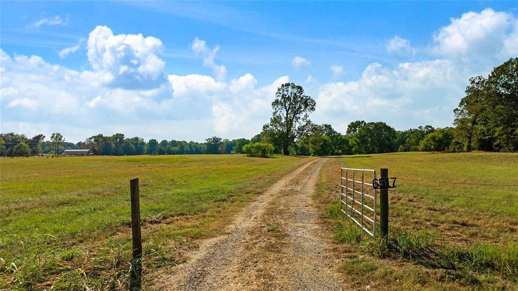 Azienda agricola a Blossom, Texas, Stati Uniti 2 - 18842718