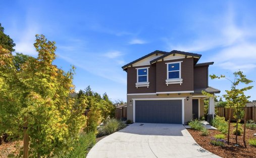 House in Sonoma, California, United States 1