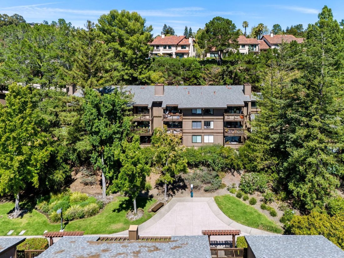 Appartement à San Carlos, Californie, États-Unis 3 - 18849816
