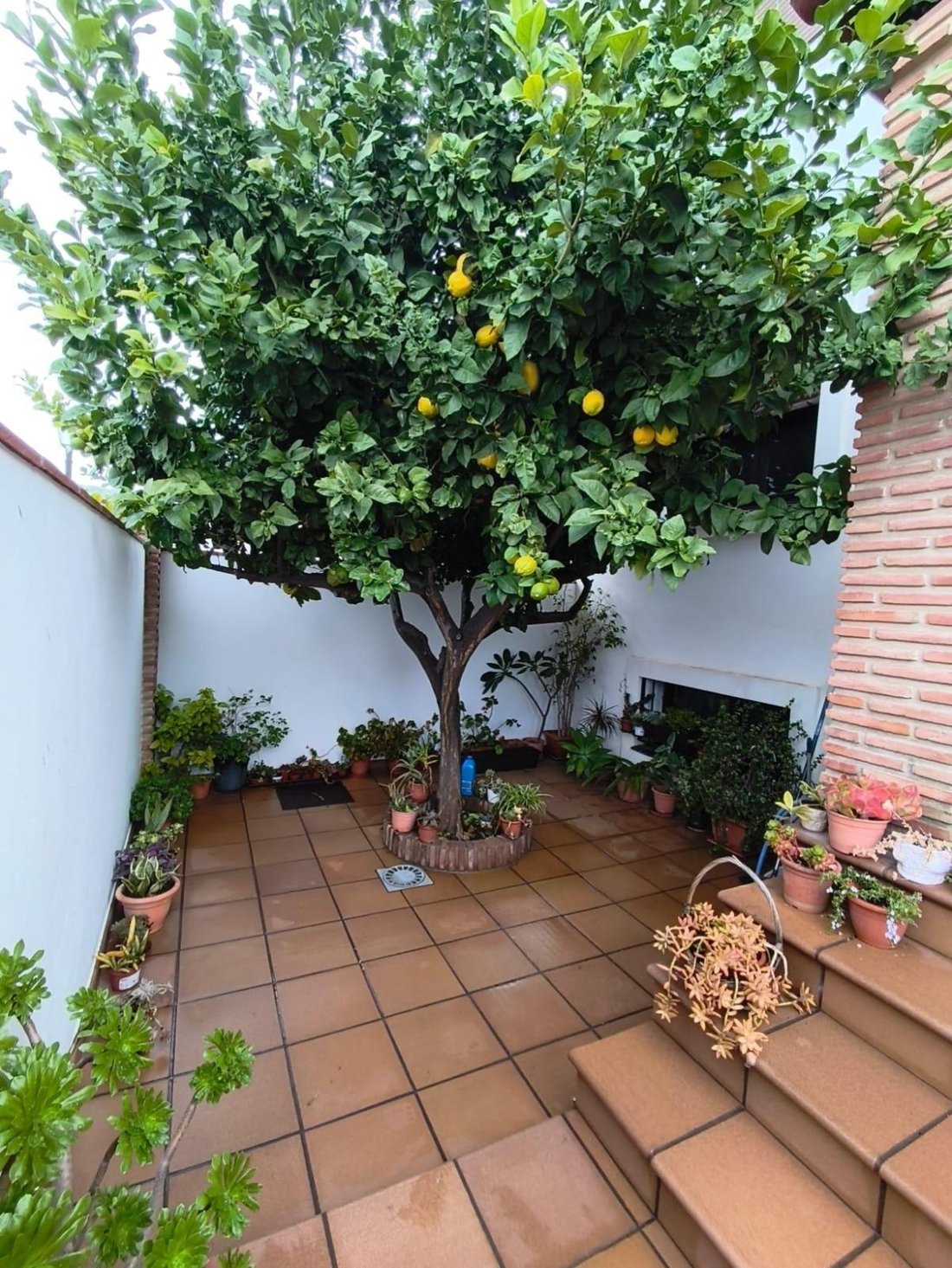 Villa a Fuengirola, Andalusia, Spagna 4 - 18856834