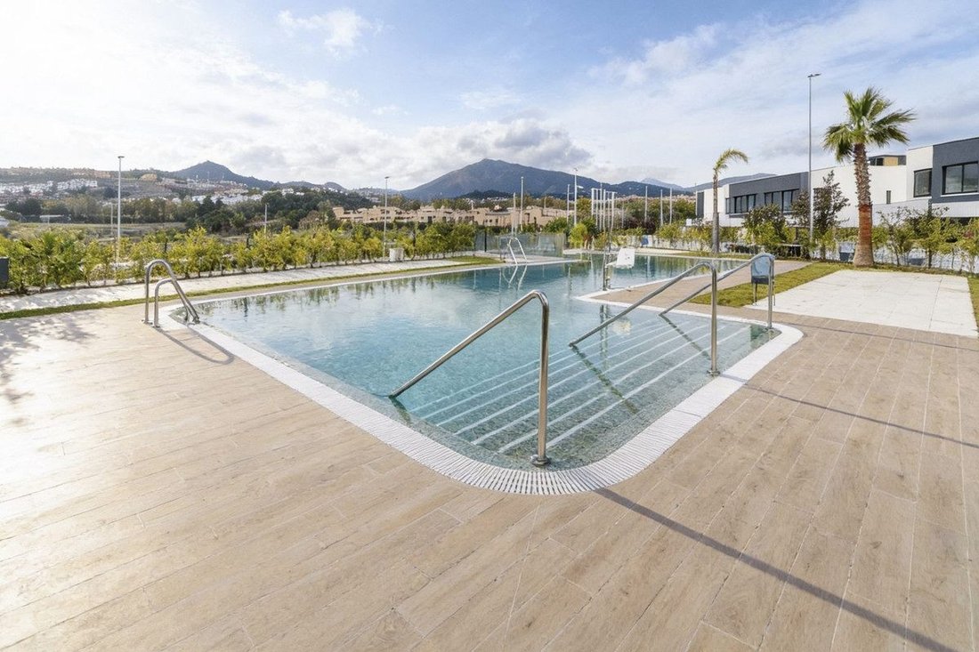 Villa in Cañete la Real, Andalusien, Spanien 4 - 18856389